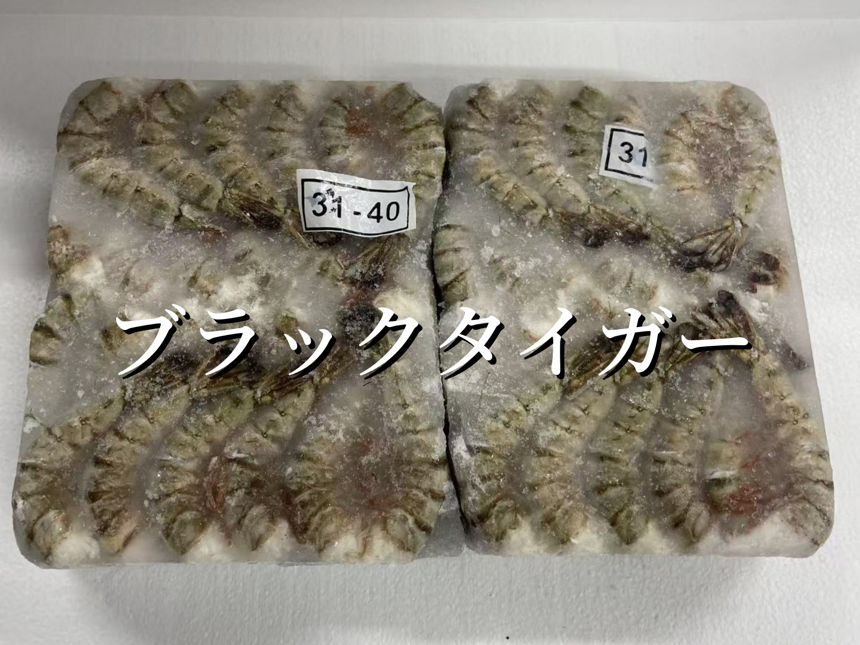 ブラックタイガー